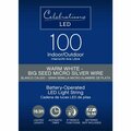 Goldengifts 16.5 ft. Basic LED Micro Dot & Fairy Clear & Warm White String Christmas Lights 100 Count, 12PK GO3310875
